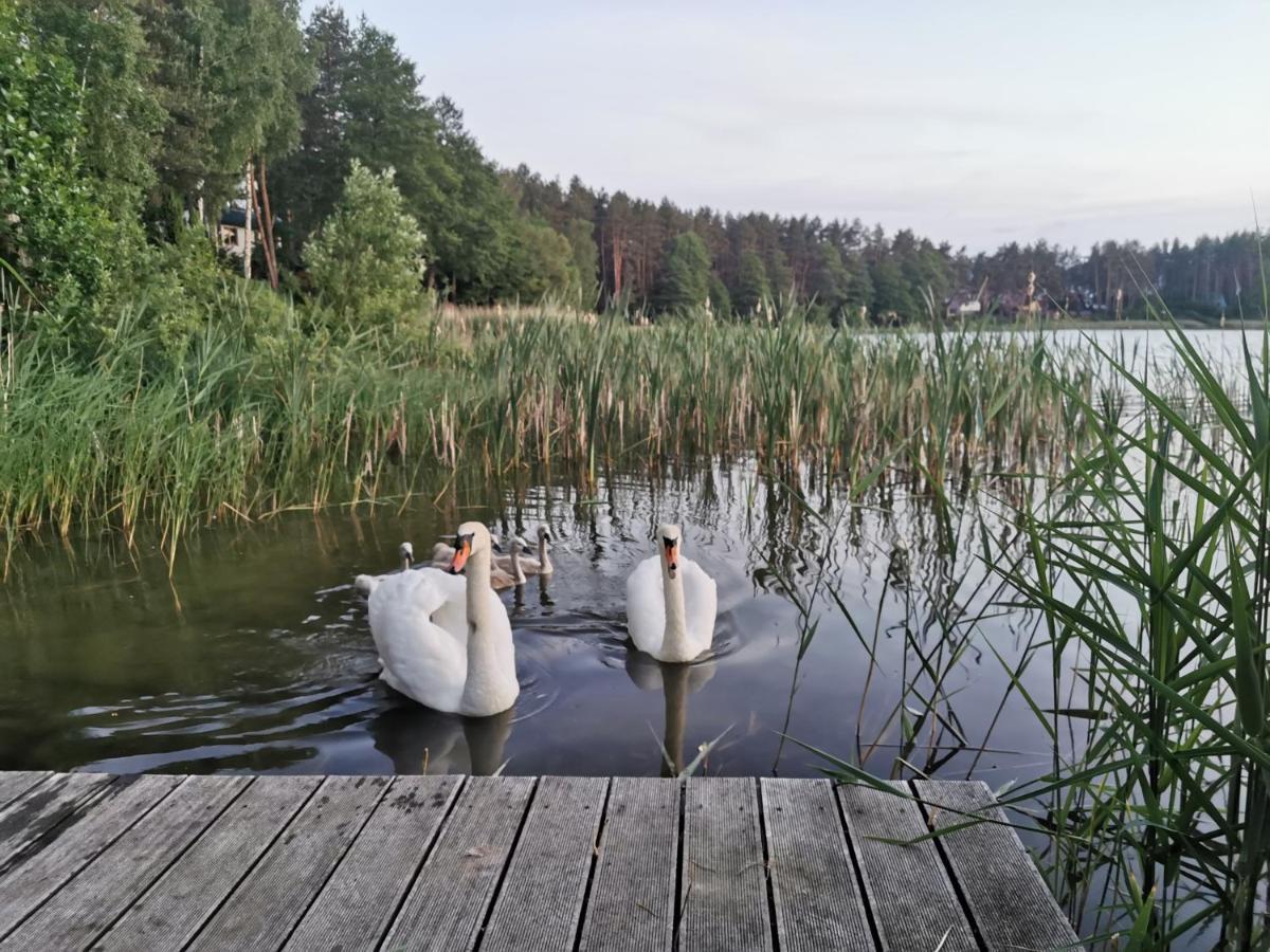 Sosnowy Azyl Villa Wąglikowice Buitenkant foto